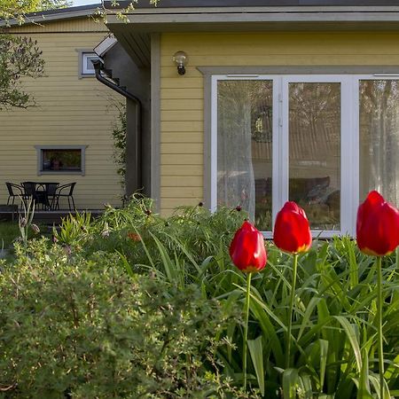 Kaevu Holiday House Pärnu Pokoj fotografie