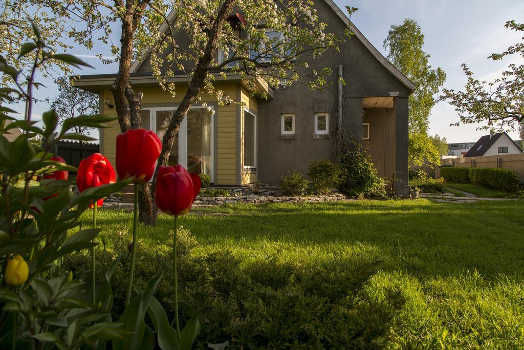 Kaevu Holiday House Pärnu Pokoj fotografie